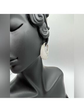 Elegant Silver and Crystal Hoop Earrings